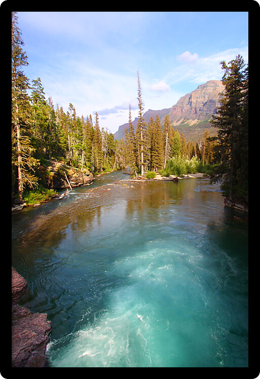Saint Mary Creek flows through thick forests of Glacier National Park in Montana.