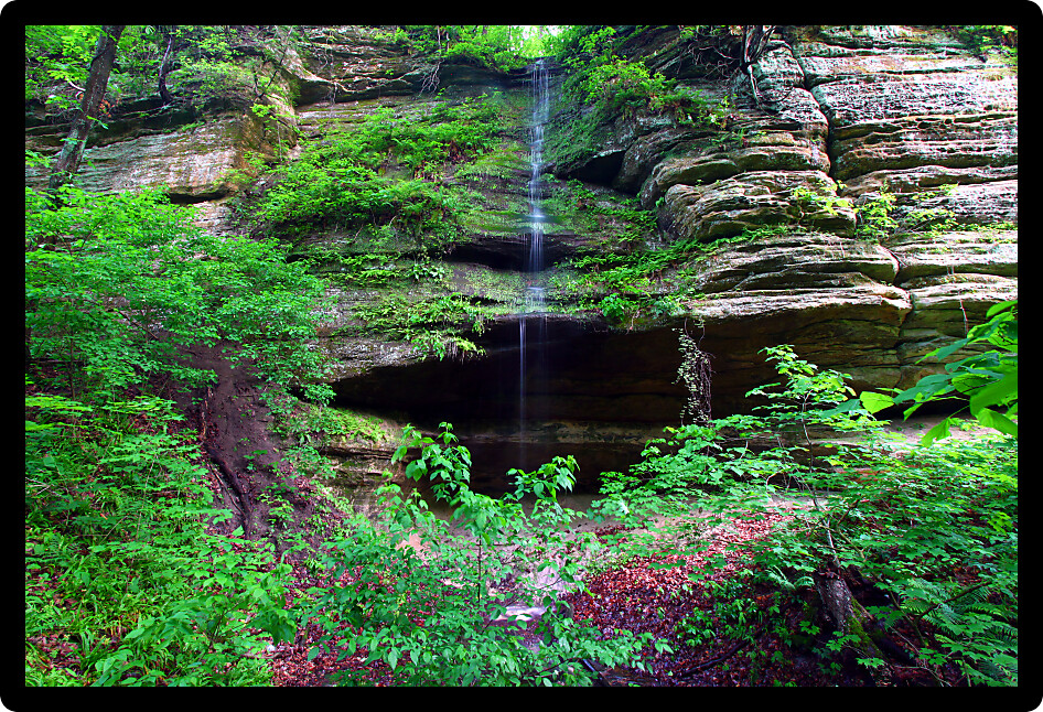 Lush vegetation grows near a small waterfall at Starved Rock State Park.