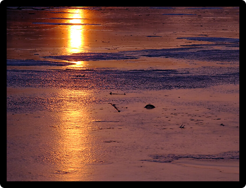 Bright sunlight reflects off a frozen pond on a cold winter day.