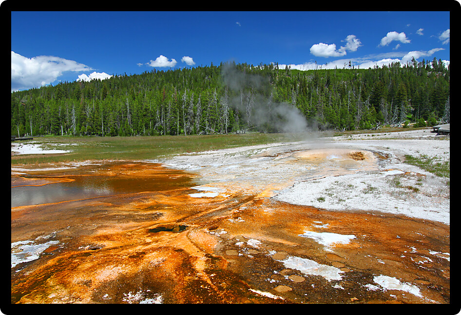 Bright orange colors of thermophilic bacteria in the Upper Geyser Basin of Yellowstone National Park.