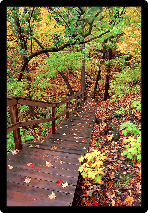 Staircase winds through a myriad of fall colors at Kishaukee Gorge Forest Preserve in northern Illinois.