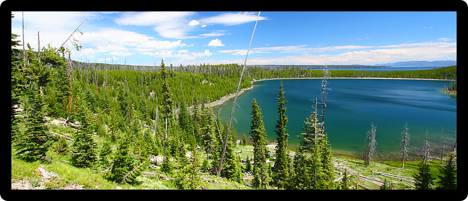 Magnificent Duck Lake of Yellowstone National Park on a summer day Wyoming USA.