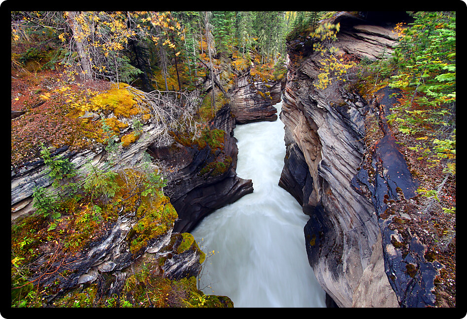 Narrow Athabasca Falls Gorge in Jasper National Park of Alberta Canada.