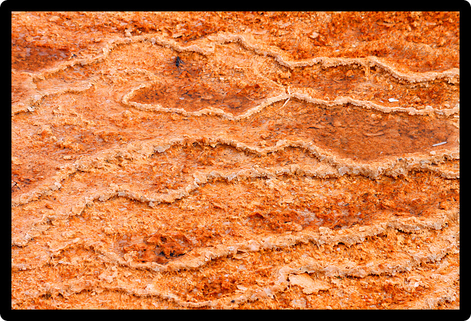 Thermophilic bacteria create a colorful bottom in Canary Spring of Yellowstone National Park.