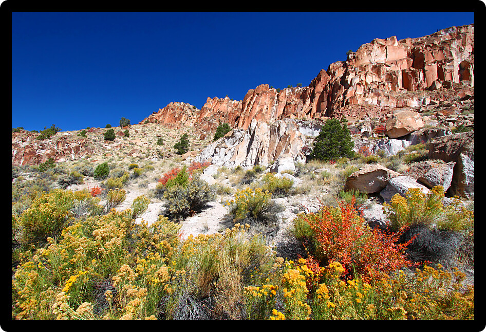 Rocky scenery and wildflowers at Fremont Indian State Park of Utah.