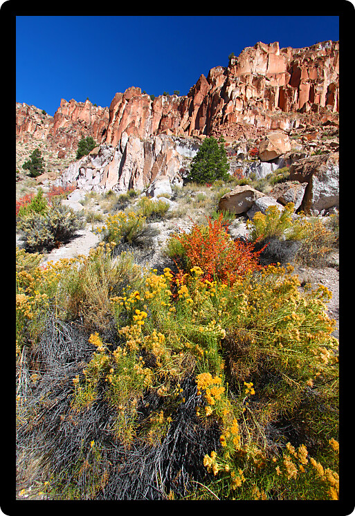 Rocky scenery and wildflowers at Fremont Indian State Park of Utah.
