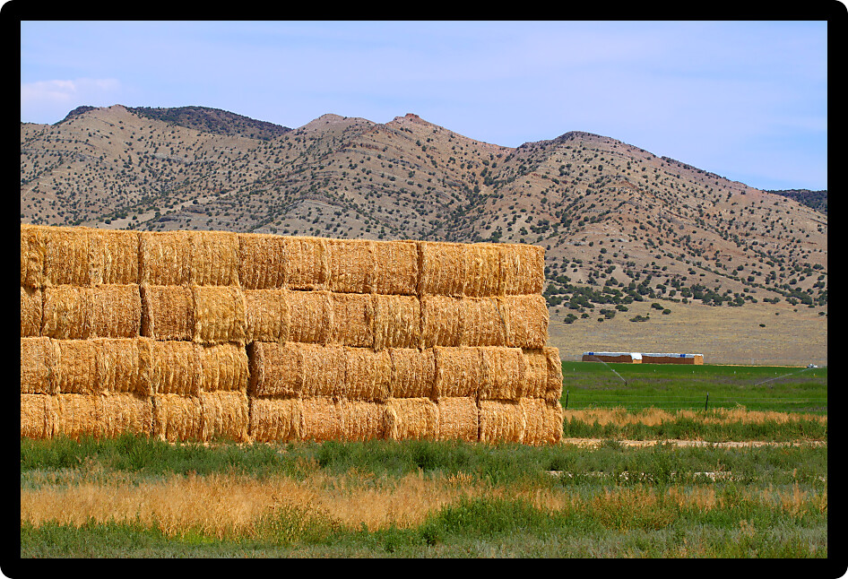 Large hay bales in rural Idaho on a sunny summer day.