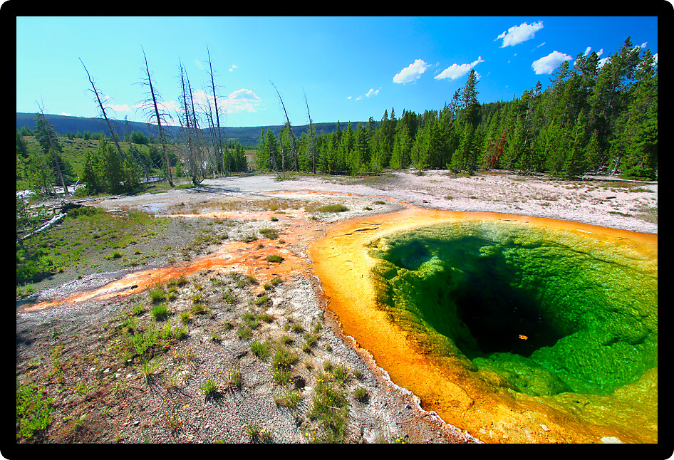 Bright colors of the Morning Glory Pool in Yellowstone National Park of Wyoming.