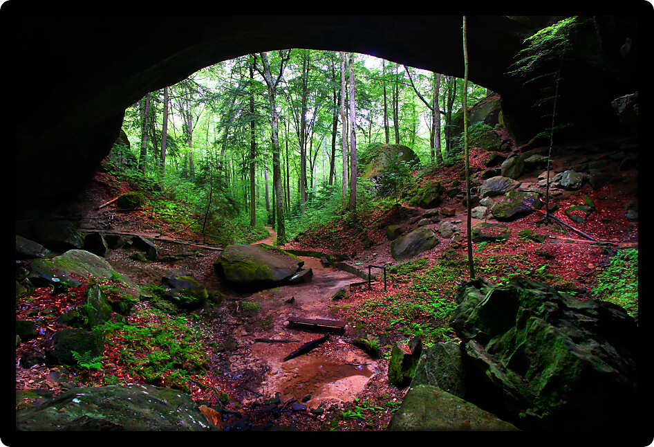 Natural Bridge hidden in the forests of northern Alabama USA.