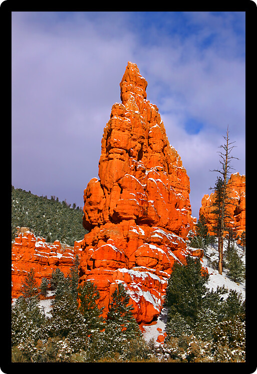 Rock pillar rises above the pines of Red Canyon of the Dixie National Forest Utah.