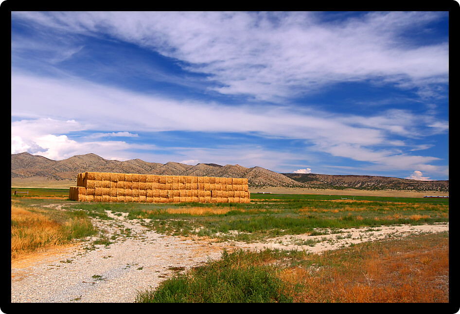 Rural agricultural scenery of Idaho on a sunny summer day.