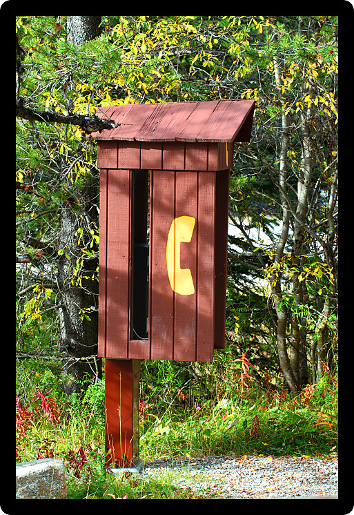 Rustic payphone booth nestled amongst vegetation in Canada.