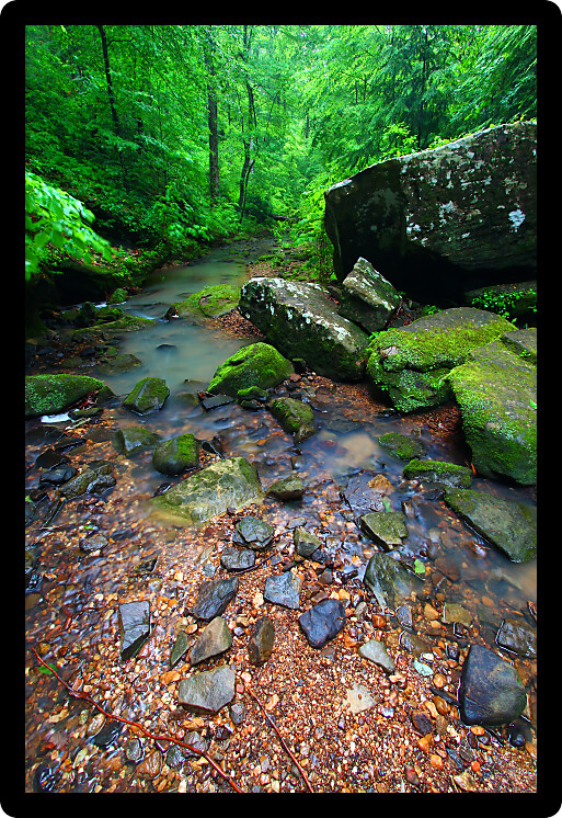 Tranquil stream cuts a deep gorge through the lush forests of northern Alabama.