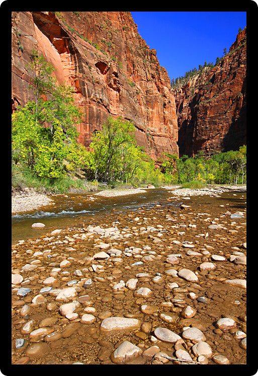 Virgin River ripples out from the Narrows of Zion Canyon in Utah.