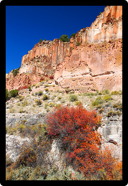 Wildflowers grow beneath steep cliffs at Fremont Indian State Park of Utah.