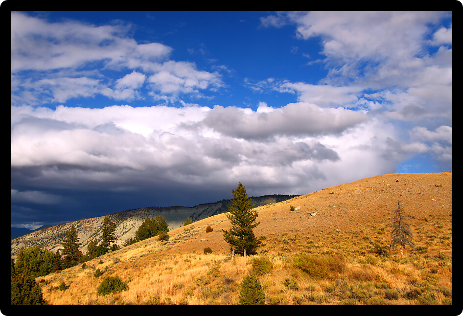 Rain clouds form in the evening over a sunlit landscape of Yellowstone National Park.