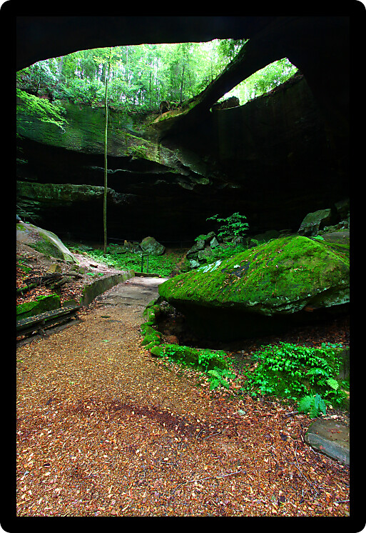 Natural Rock Bridge spans the lush forests of Alabama in the southern USA.