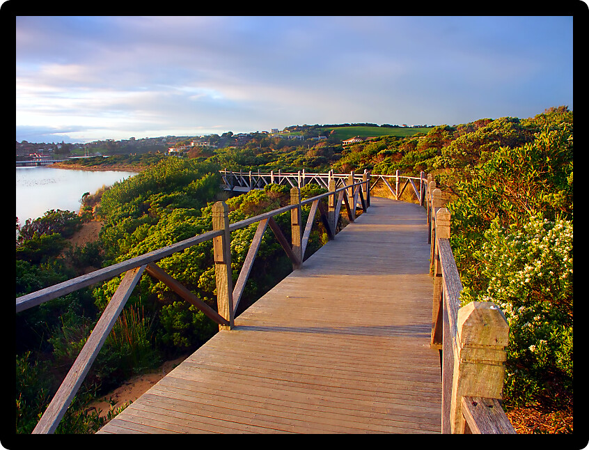 Boardwalk through vegetation along the coastline in Warrnambool Australia.
