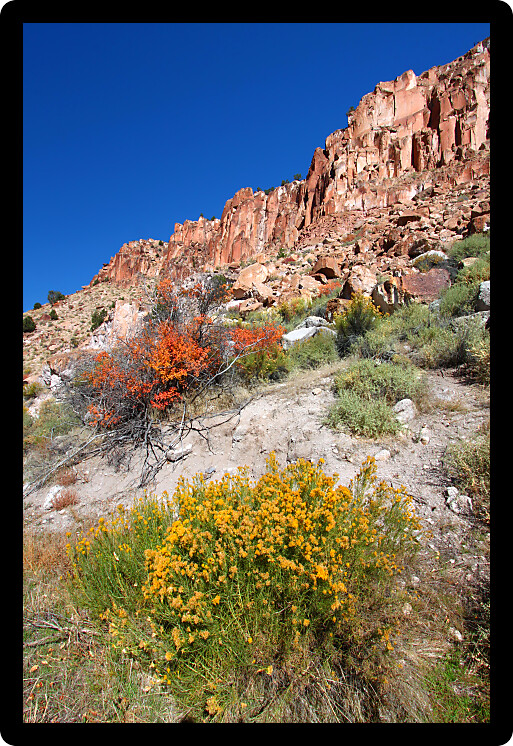 Vegetation below mountains at Fremont Indian State Park of Utah.