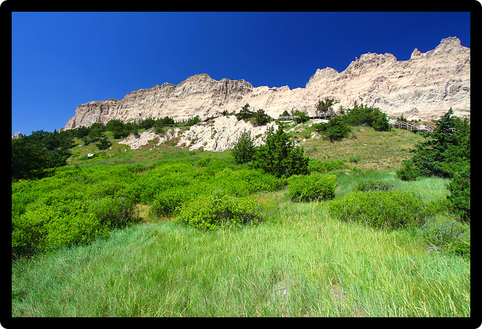 Oasis of dense vegetation by Cliff Shelf in Badlands National Park of South Dakota.