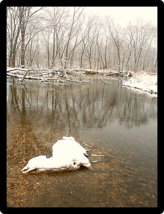 Dead deer in the Kishwaukee River demonstrates the harsh reality of a cold winter.