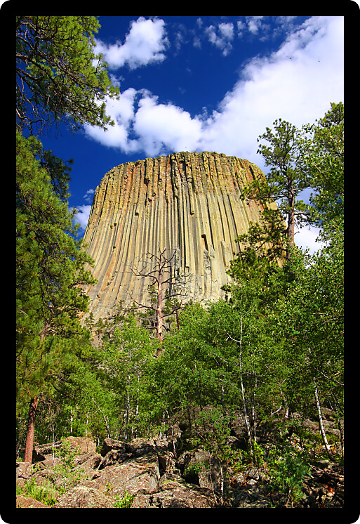 Devils Tower National Monument framed by pine trees in Wyoming.