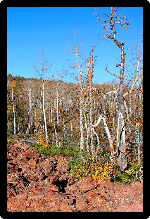 Lava field amongst the woodlands of the Dixie National Forest of Utah.