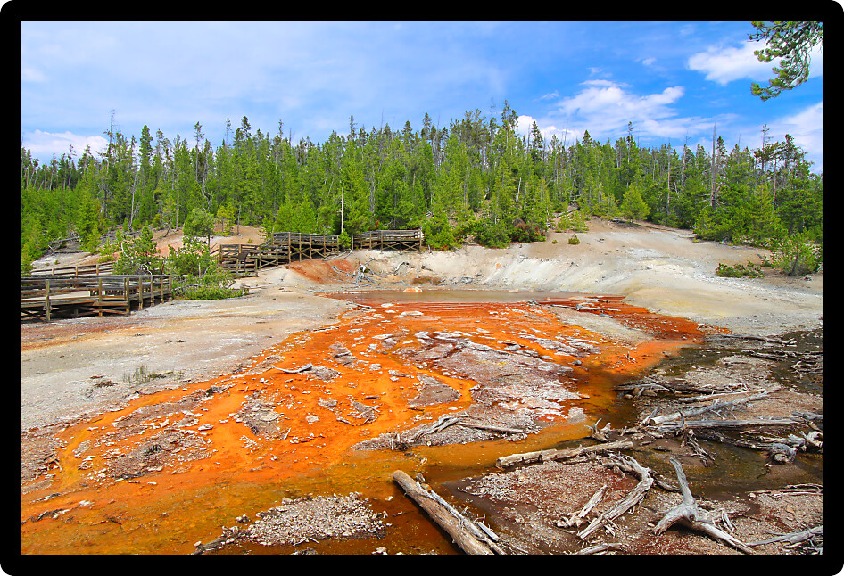 Hot waters flow out of Echinus Geyser of Yellowstone National Park.