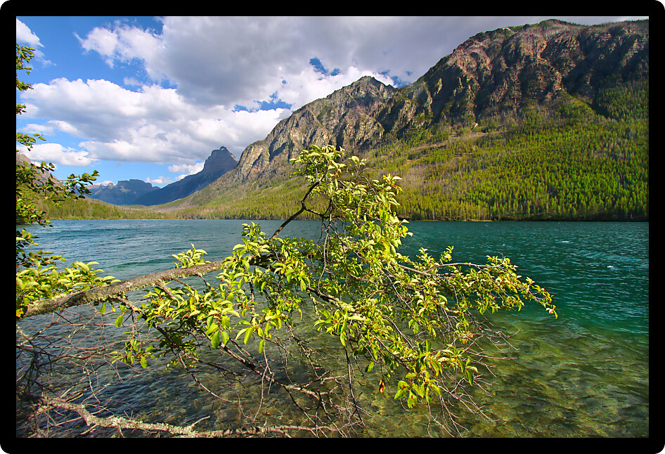 Mountains rise steeply from the shoreline of Kintla Lake in Glacier National Park.