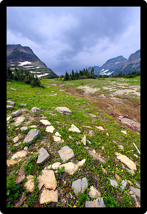 Beautiful alpine scenery at Logan Pass of Glacier National Park.
