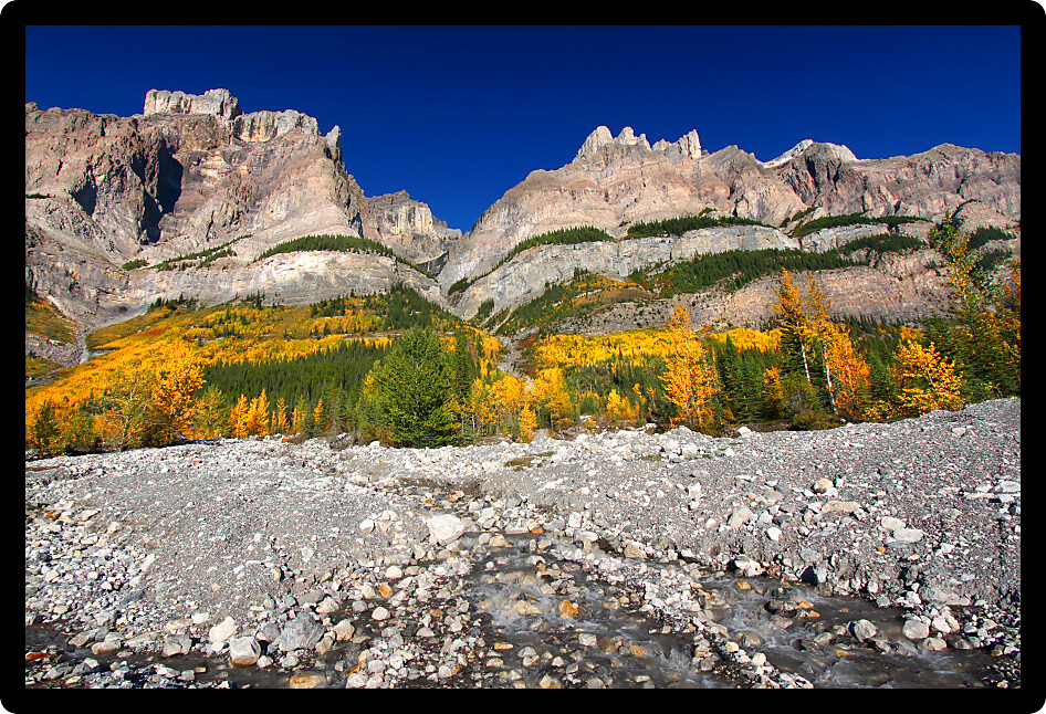Cascading water flows down of the pine covered cliffs of Mount Wilson in Banff National Park Canada.