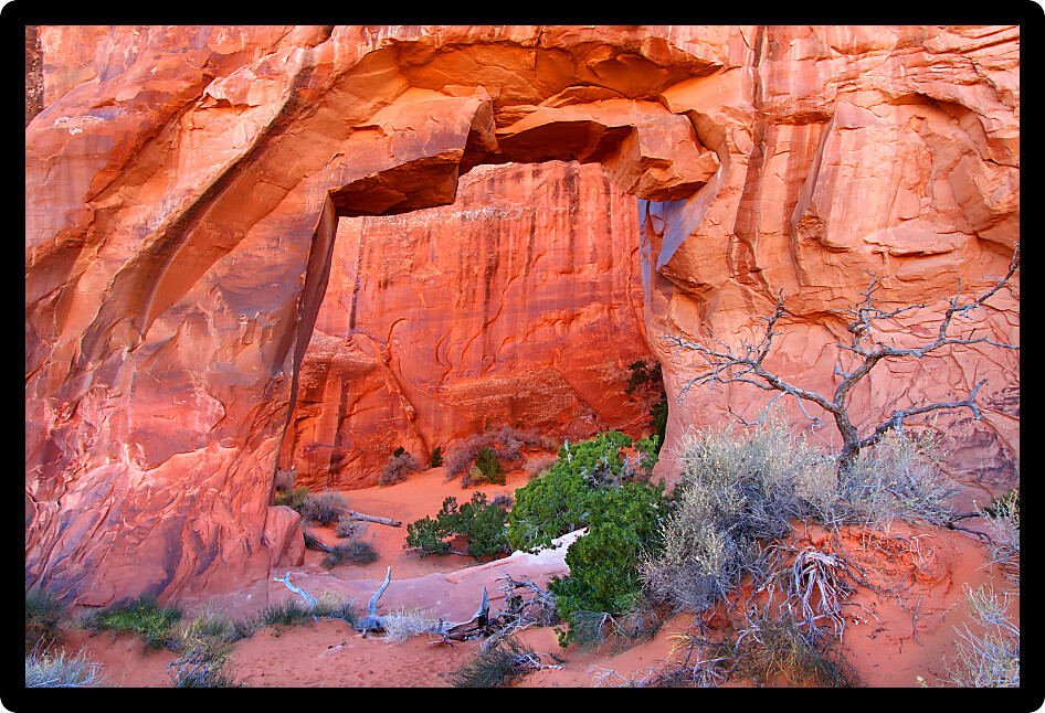 View of Pine Tree Arch in Arches National Park of Utah.