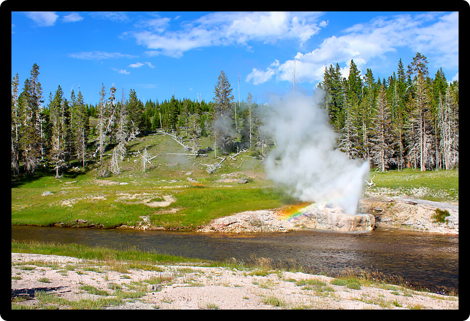 Steam and water erupt from Riverside Geyser along the Firehole River in Yellowstone National Park.