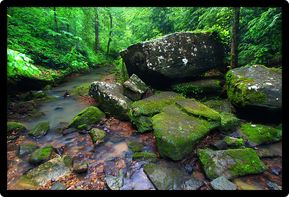 Tranquil stream cuts a deep gorge through the lush forests of northern Alabama.