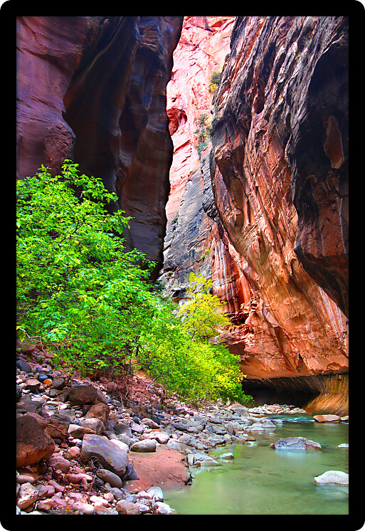 Steep vertical cliffs rise from the Virgin River in The Narrows of Zion National Park.