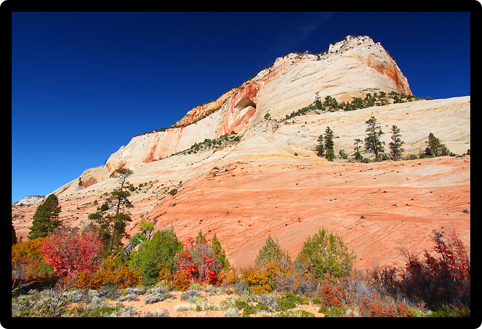 Vegetation below beautiful geological features of Zion National Park in Utah.
