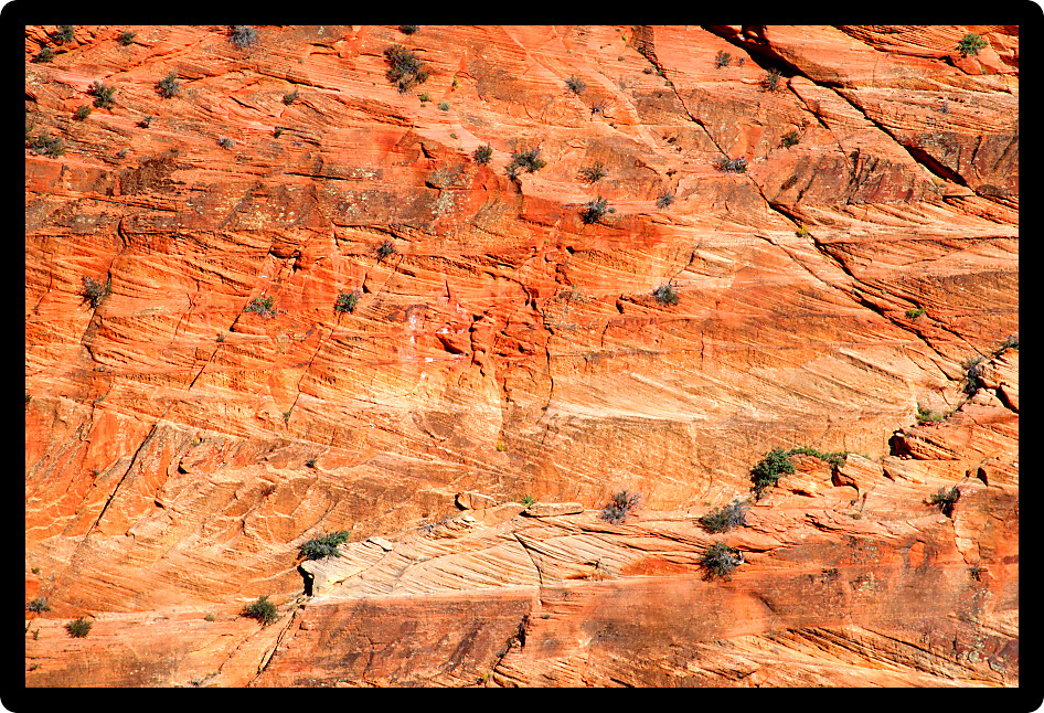 Bright sandstone rocks making up Zion Canyon of Utah.